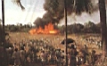 Enclosure set on fire.JPG